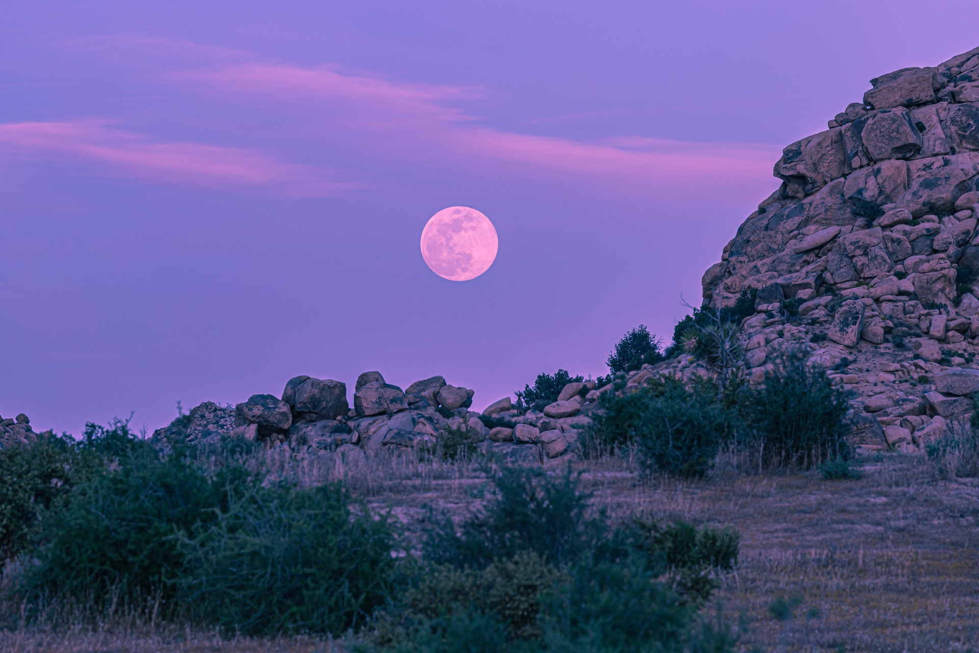 'Pink moon' to shine on April 12, marking first full moon of spring Image