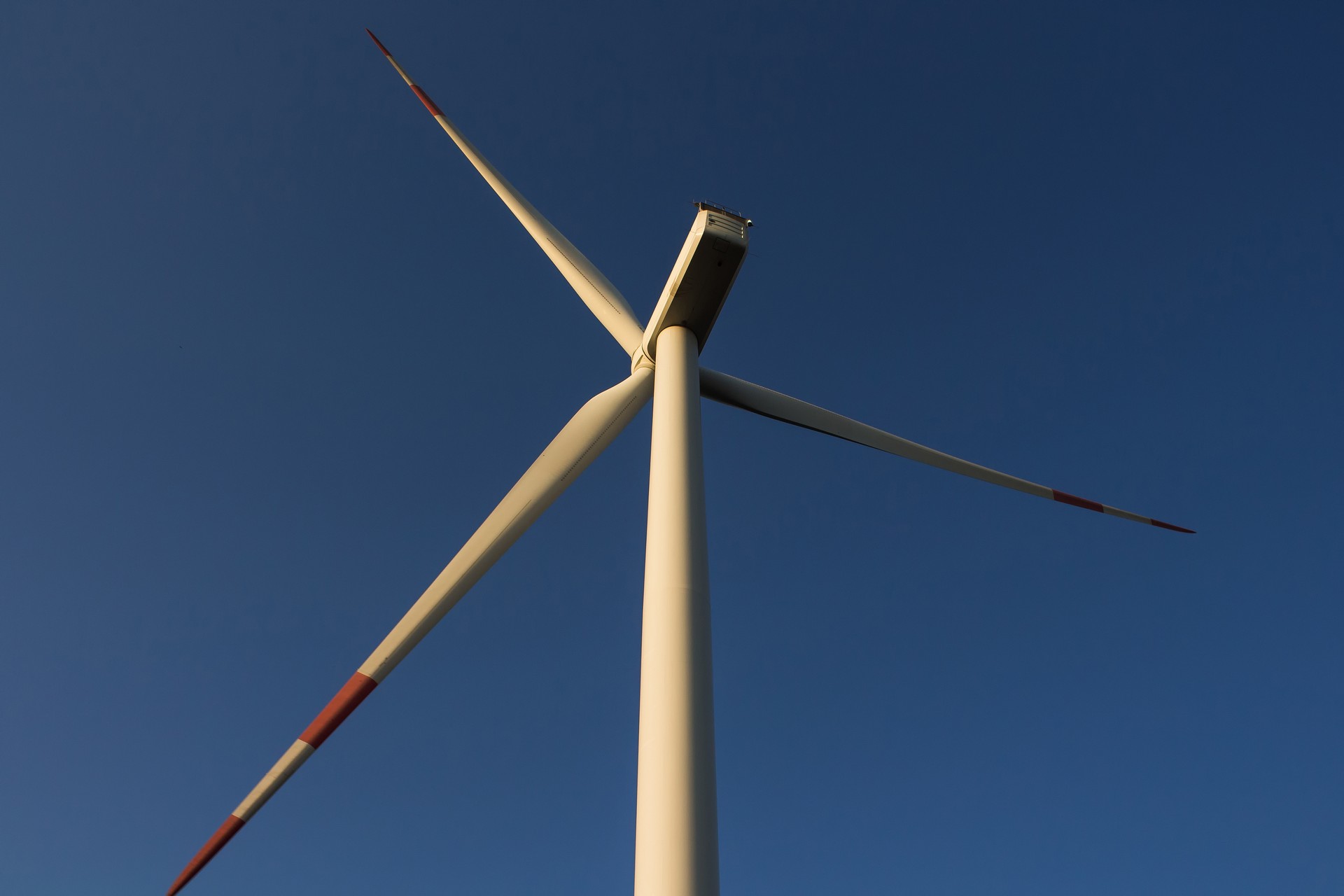 We aim to deliver electricity to European markets: Energy Minister Bayraktar