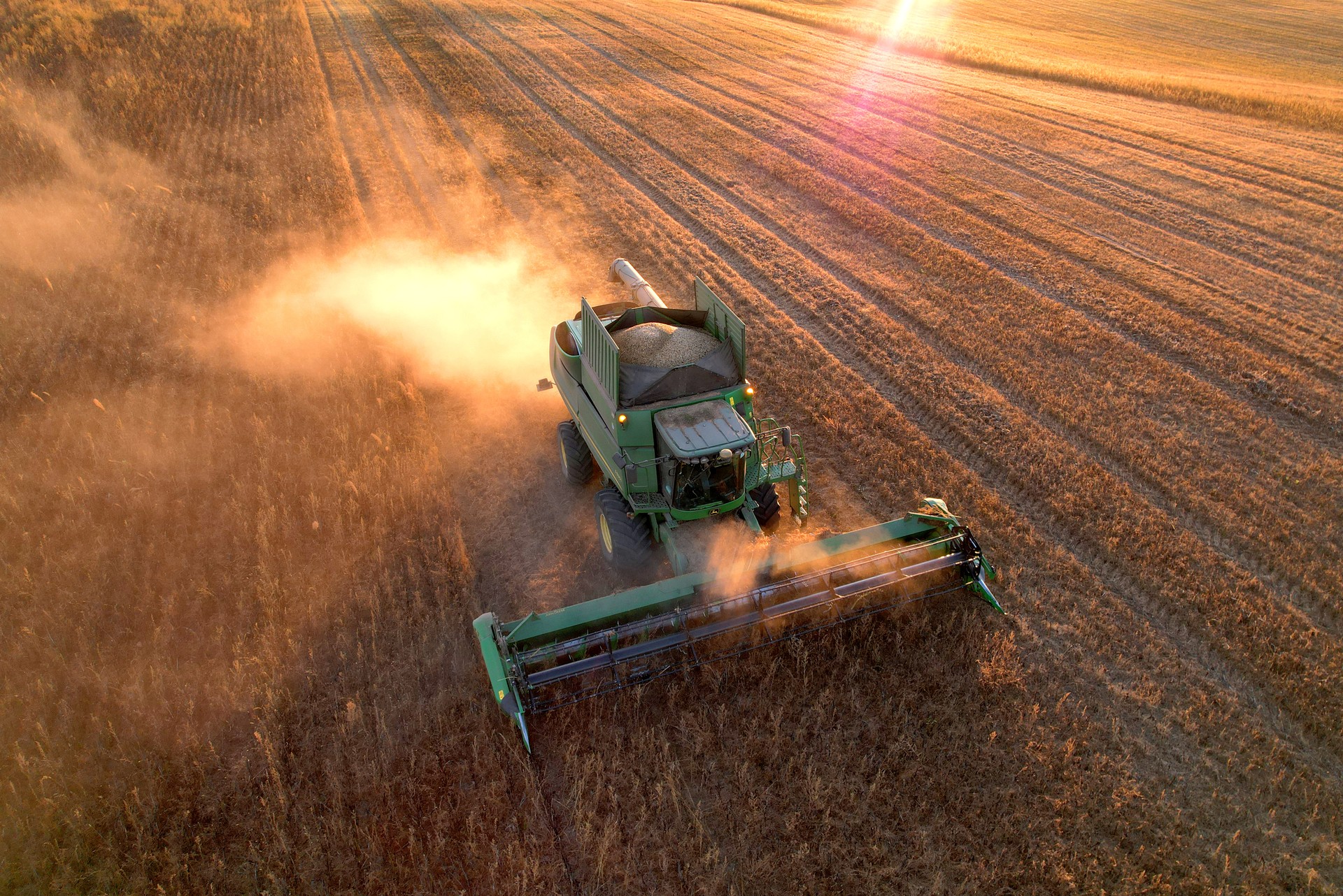 Türkiye surges to third-largest Russian wheat importer after ban lift