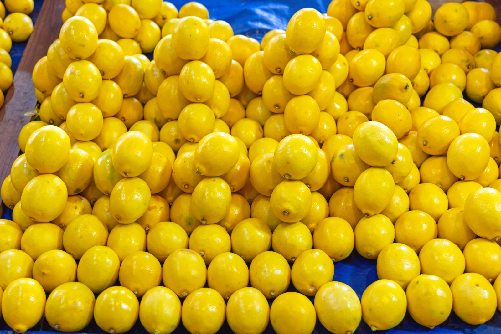File photo shows washed and polished lemons neatly displayed for sale at a local market in Türkiye, accessed on April 8, 2025. (Adobe Stock Photo)