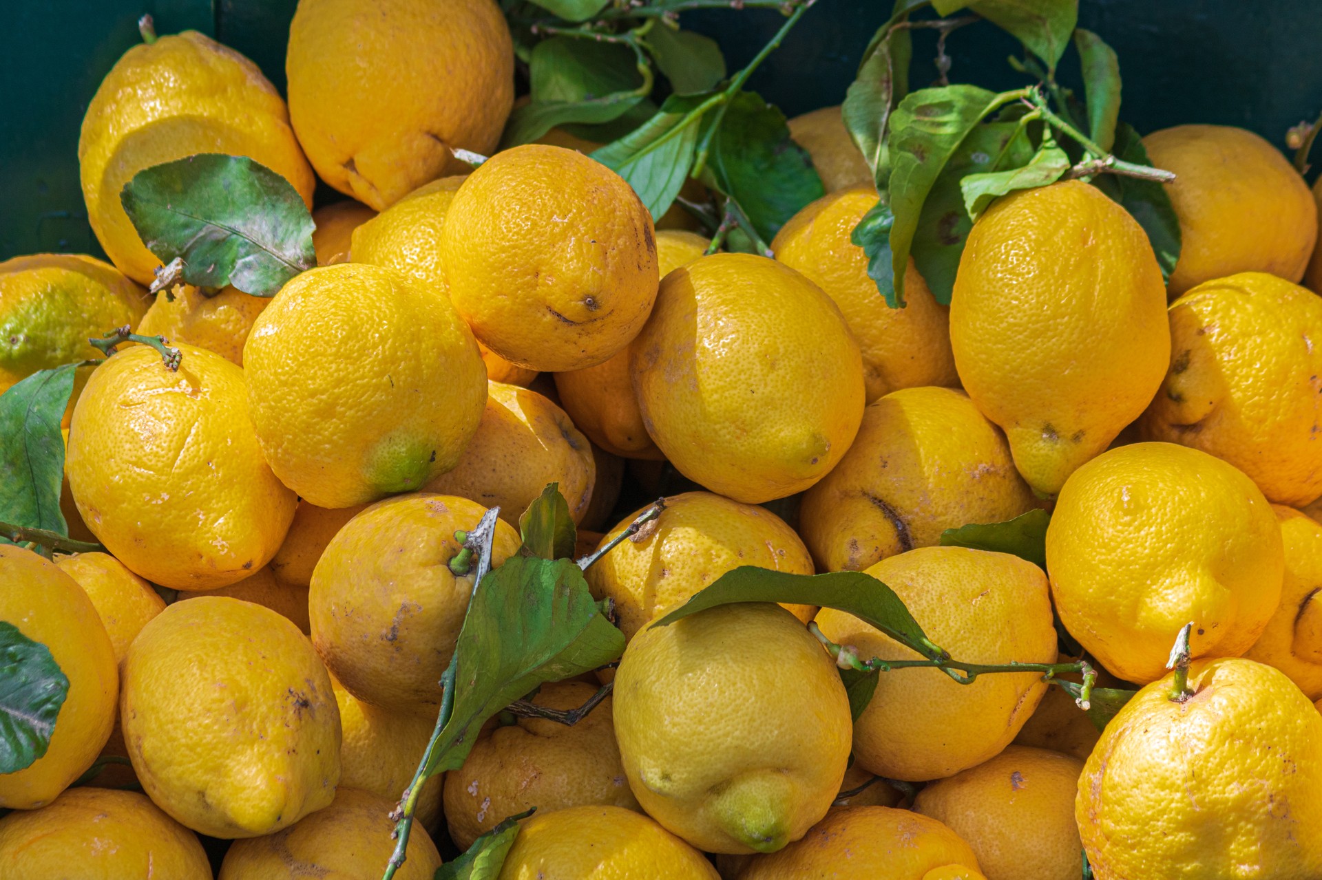 Türkiye halts lemon exports amid supply and market concerns