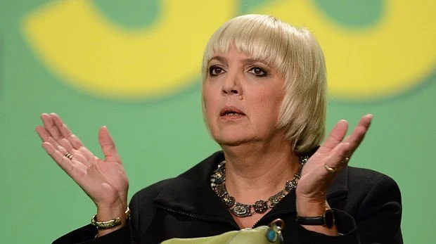 EU sought to resume accession talks with Türkiye before March 19: Claudia Roth