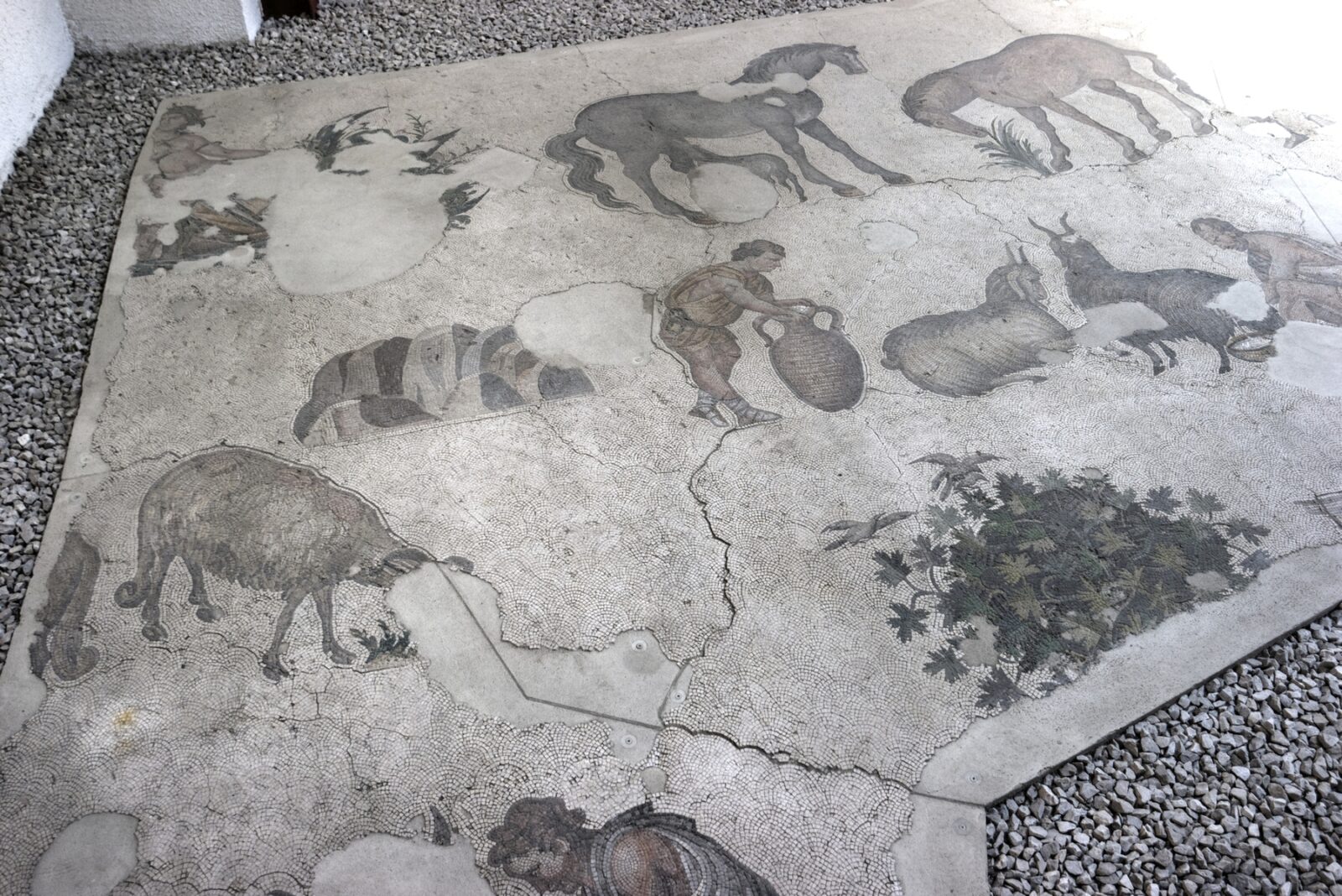 Mosaic of milking the goats and grazing horses at the Great Palace Mosaic Museum, Istanbul, Türkiye. (Photo via <a href=