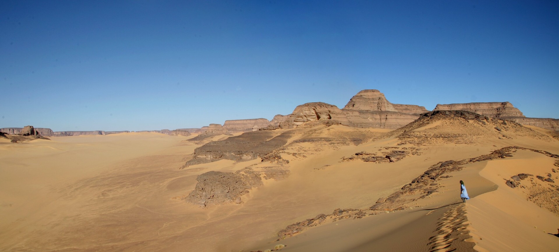 Lost civilization of Green Sahara: DNA study sheds new light