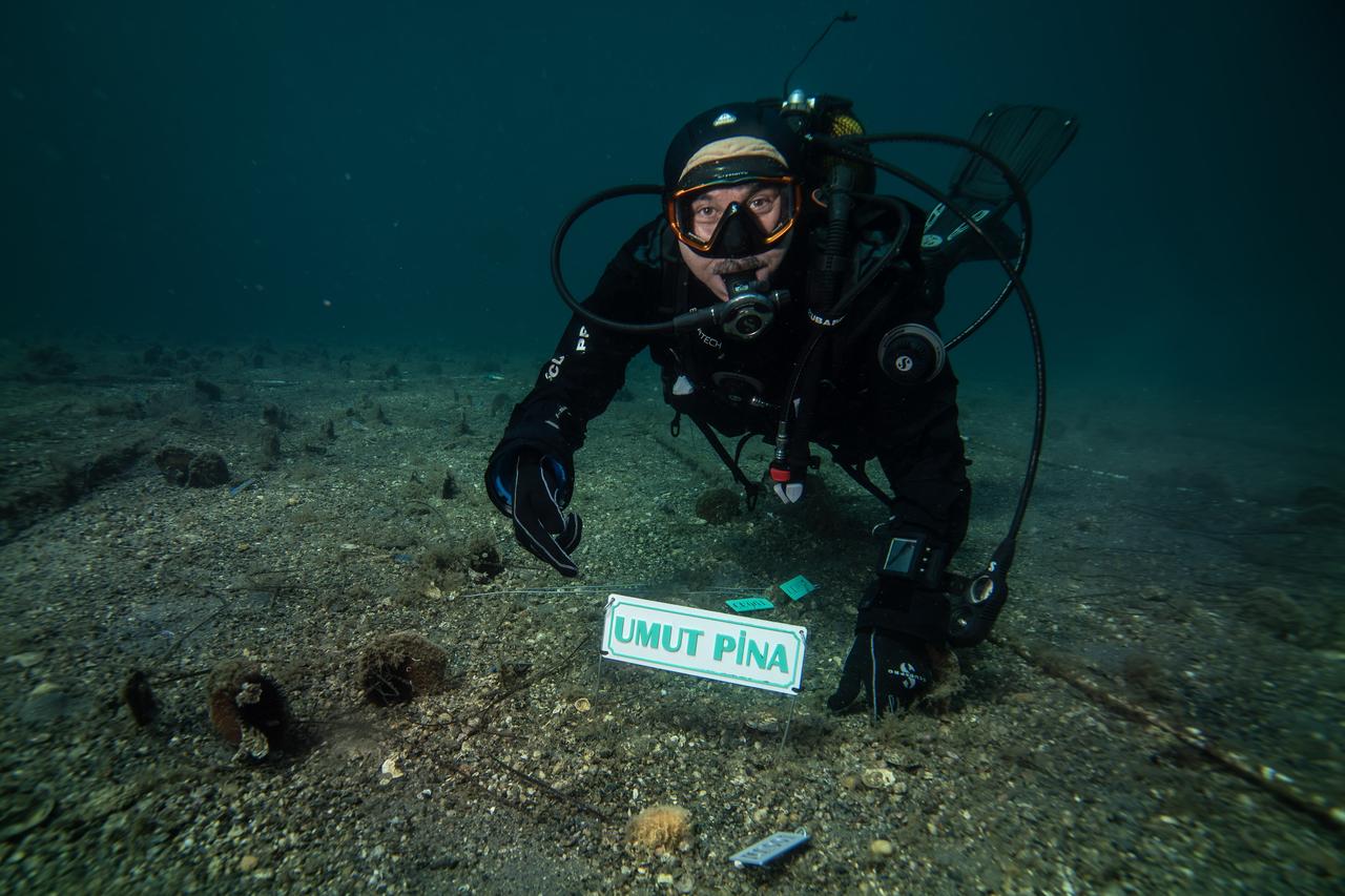 Professor Mustafa Sari from Bandirma Onyedi Eylul University Faculty of Maritime Studies is seen working underwater during the PINA-IZ Project in Balikesir, Türkiye, Oct. 6, 2025. (AA Photo)