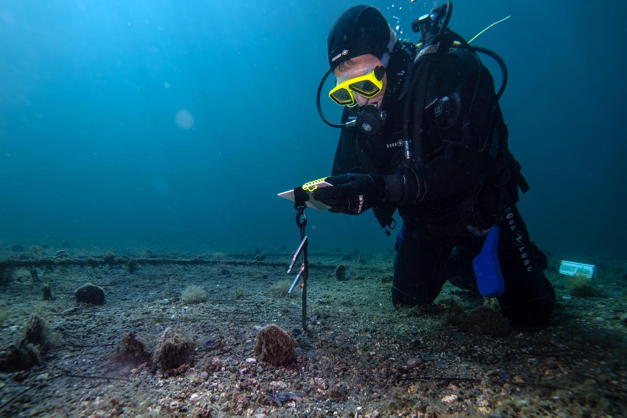 Osman Benli, an instructor from the Erdek Diving Club, is seen working underwater during the PINA-IZ Project in Balikesir, Türkiye, Oct. 6, 2025. (AA Photo)