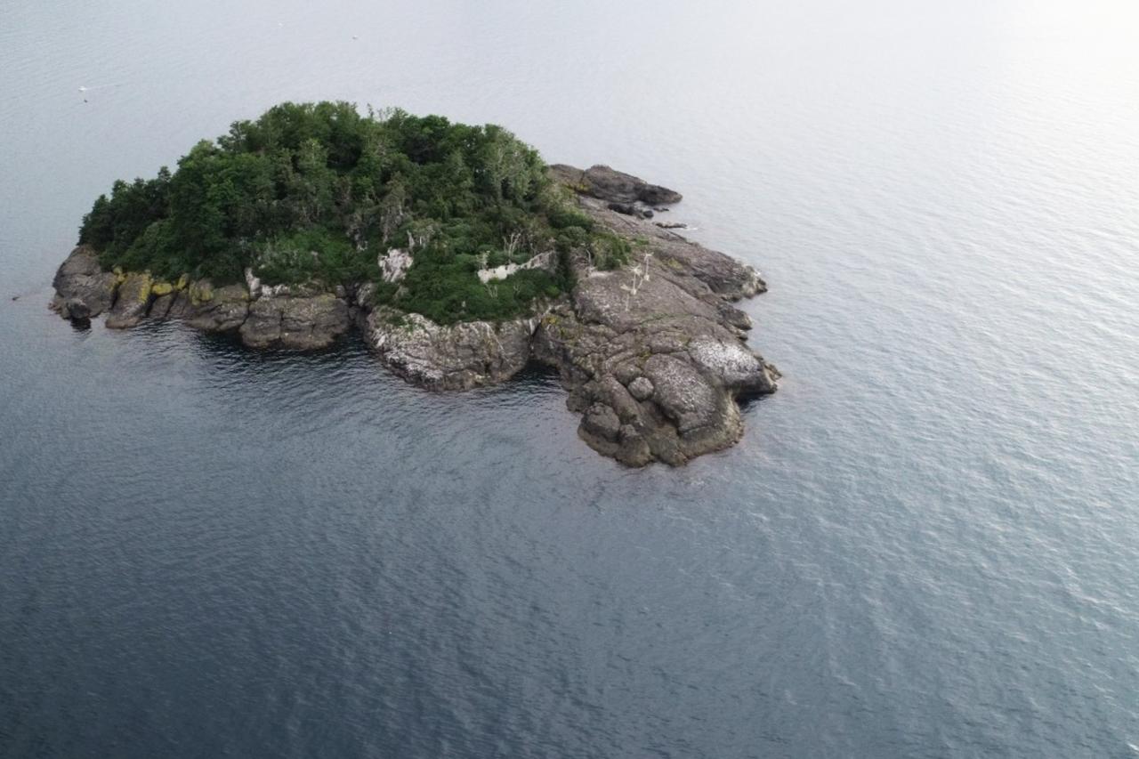 An aerial view of Giresun Island, the Eastern Black Sea’s only habitable island, surrounded by deep blue waters, Oct. 13, 2025. (IHA Photo)