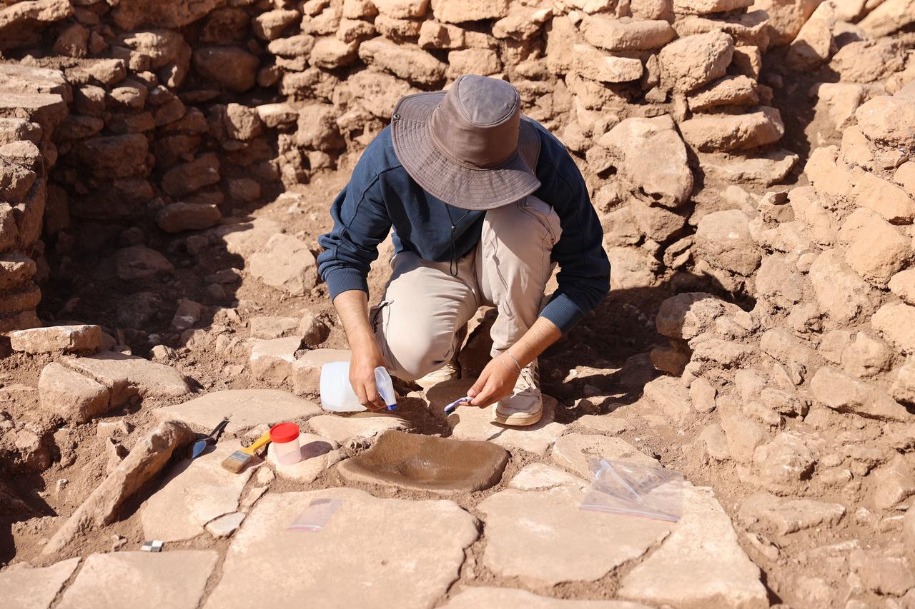 Türkiye's Karahantepe team studies Neolithic diet through microscopic plant traces