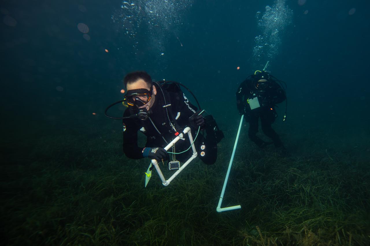 Bandirma Onyedi Eylul University Maritime Faculty members Prof. Dr. Mustafa Sari (R) and Assoc. Prof. Dr. Ugur Karadurmus (L) are seen working underwater during a dive into the Marmara Sea as part of the CAYIR-IZ project, which aims to protect seagrass meadows, described as the "lungs of the seas" in Balikesir, Türkiye, Oct. 6, 2025. (AA Photo)