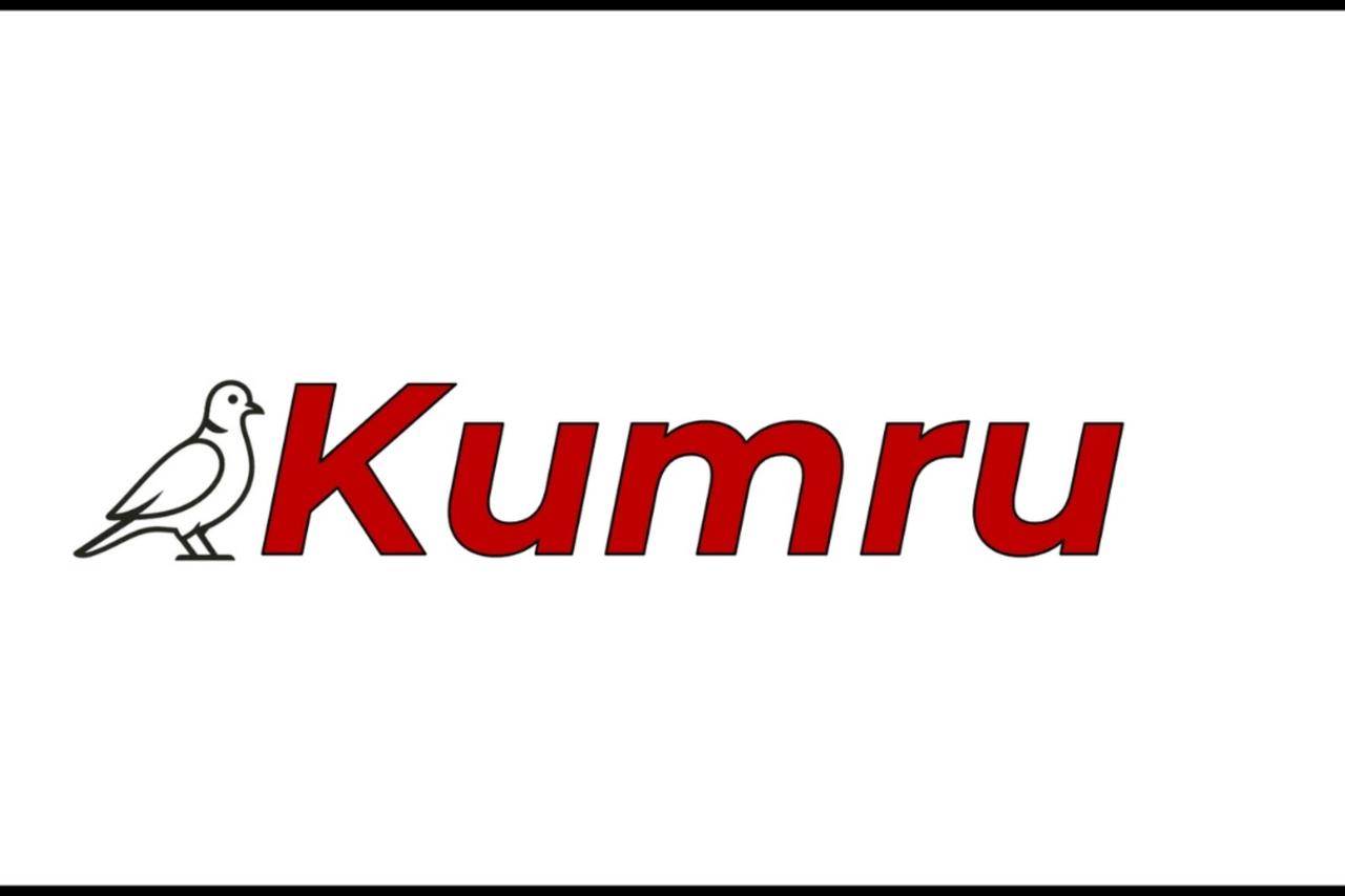 Türkiye’s new homegrown AI model 'Kumru' sparks viral debate— and raises bigger questions