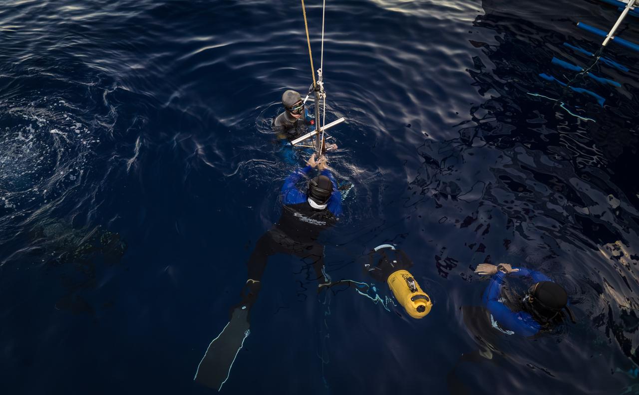National freediver Sahika Ercumen prepares for her record attempt during training sessions off the coast of Kas, Antalya, Türkiye, Oct. 16, 2025. (AA Photo)