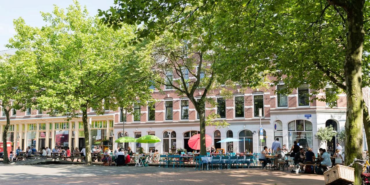 Locals and visitors enjoy outdoor cafés and restaurants under the trees along Deliplein square in Katendrecht, Rotterdam, Netherlands, accessed on October 17, 2025. (Courtesy of Rotterdam Partners)