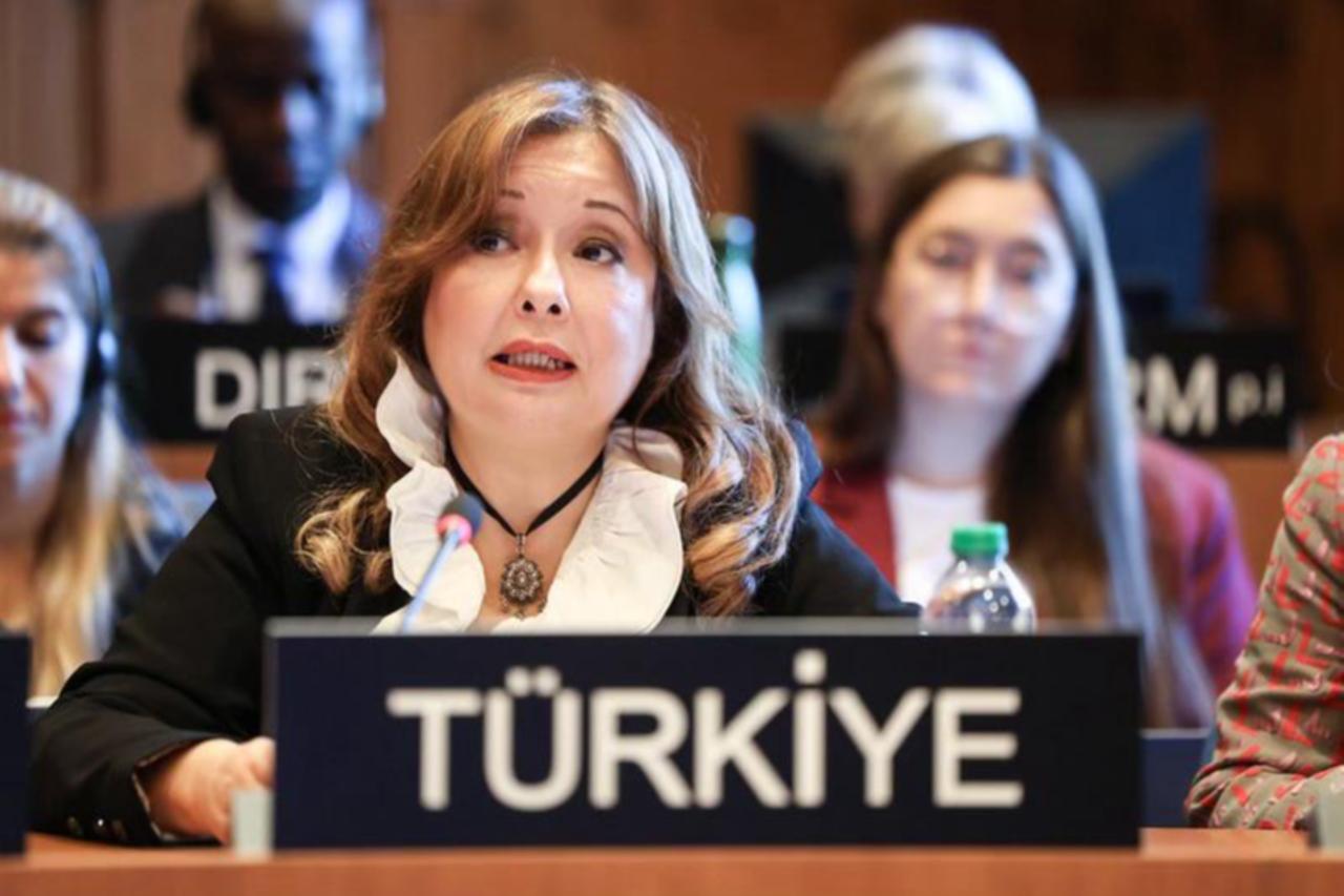 Turkish UNESCO ambassador says Israel has no legal authority to ban UNRWA operations Image