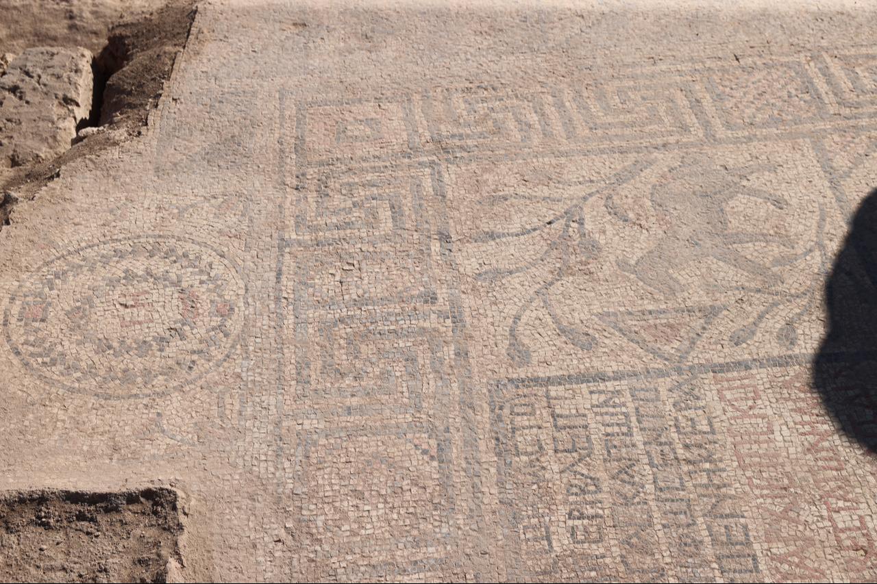 A view of the floor mosaic, estimated to be around 1,500 years old, unearthed during excavations at Urfa Castle, located south of Balikligol complex in Sanliurfa, Türkiye, Oct. 18, 2025. (AA Photo)