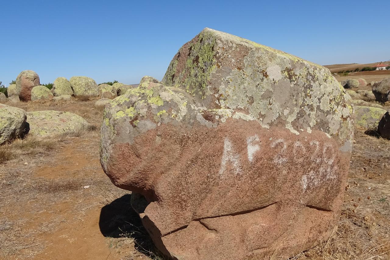Another basalt lion statue standing in the open field in Sorgun, Yozgat, Türkiye, Oct. 1, 2025. (IHA Photo)