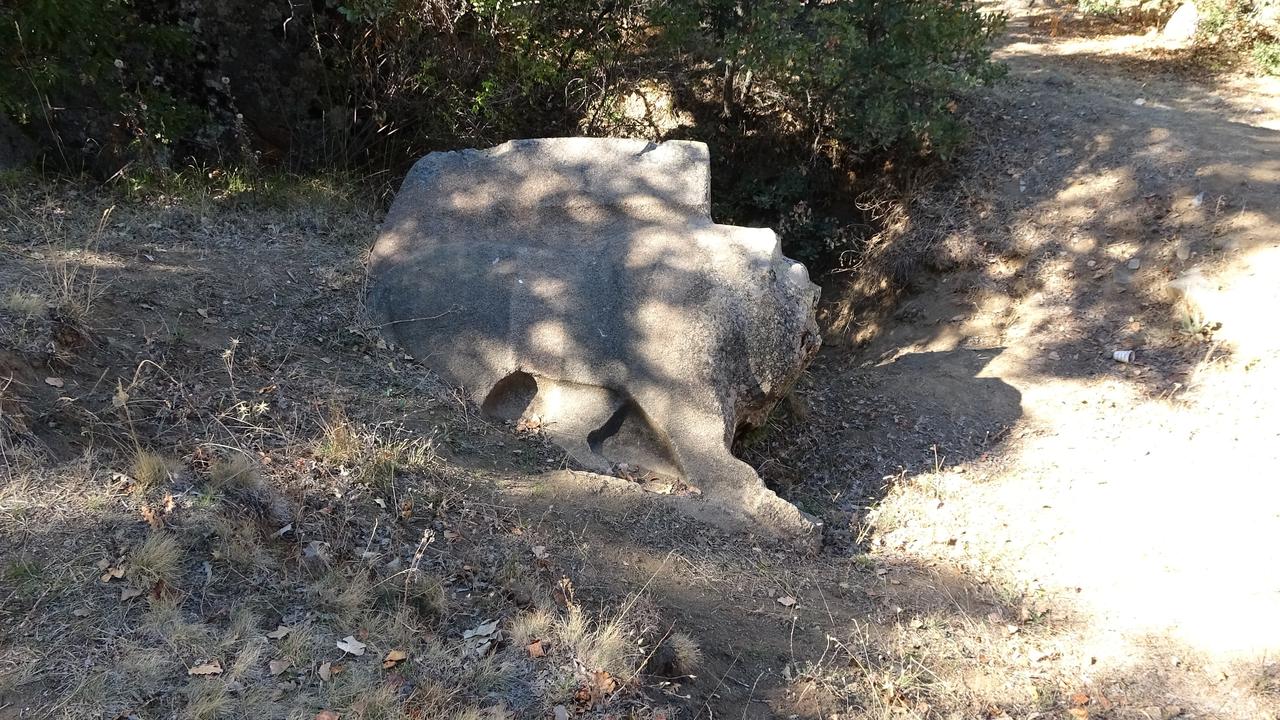 A damaged basalt lion statue lying in a wooded area after illegal excavations in Sorgun, Yozgat, Türkiye, Oct. 1, 2025. (IHA Photo)