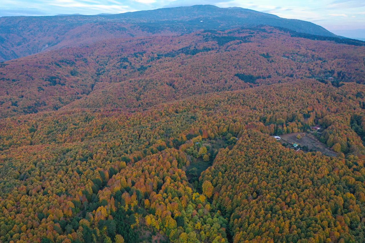 Autumn colors in Bursa