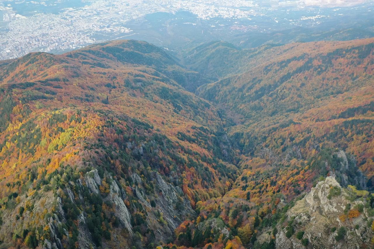AA