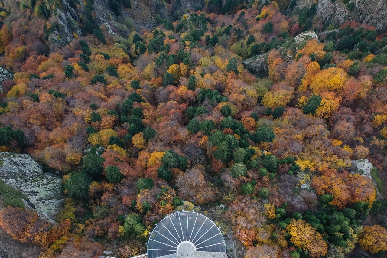 AA