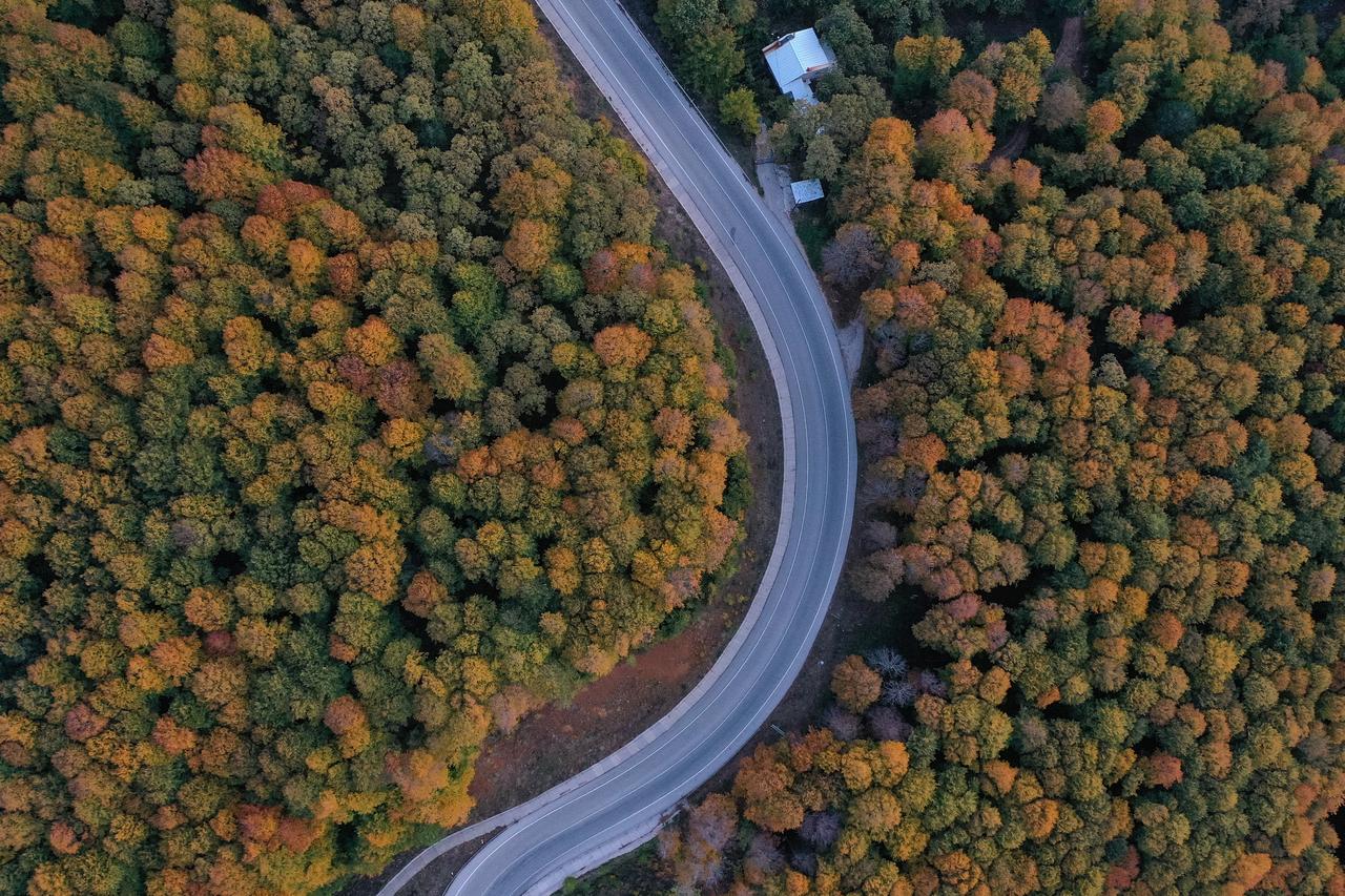 AA