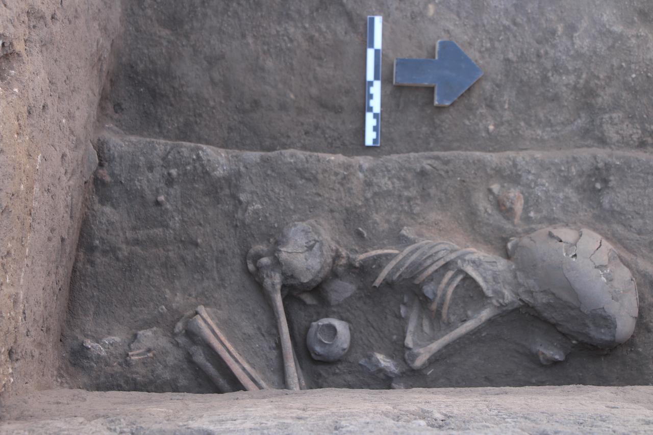Seeds of the afterlife at Türkiye's Kulluoba reveal Early Bronze Age mourning rites