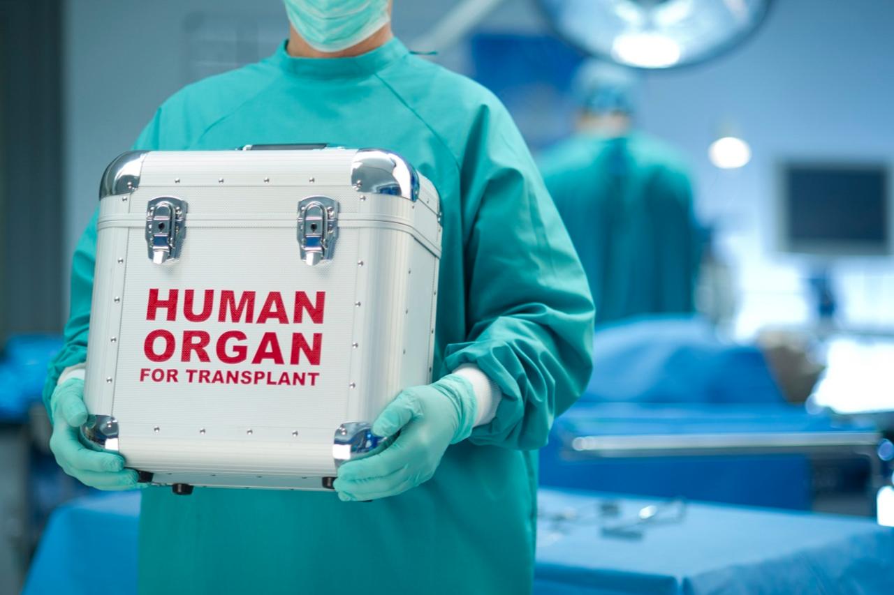 Türkiye simplifies organ donation process through e-government platforms Image