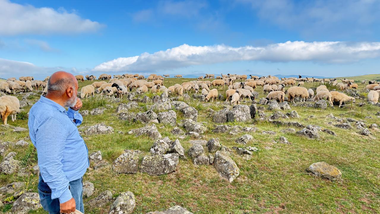 A shepherd observes his flock grazing among the gravestones of Toman Cemetery, Tokat, Türkiye, October 24, 2025. (IHA Photo)