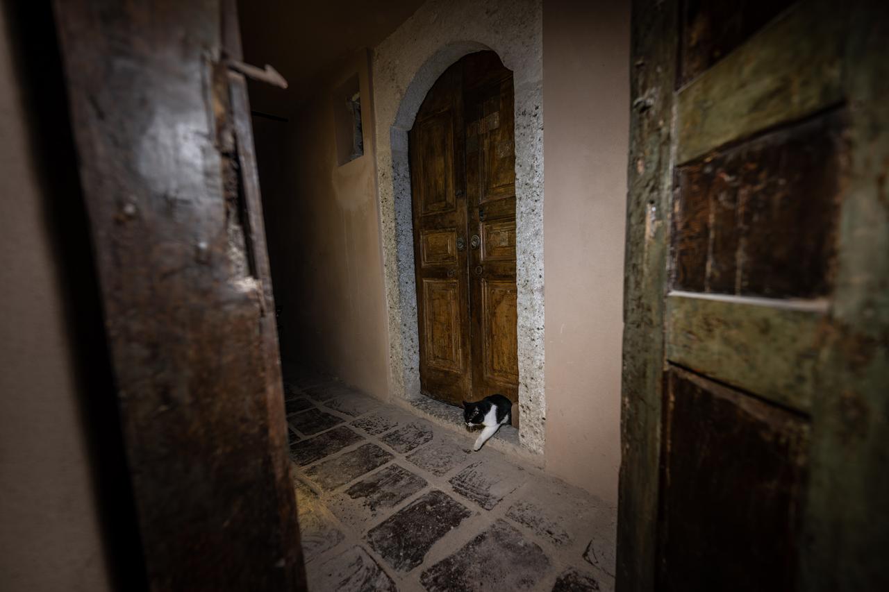 Serbet exits through the centuries-old “cat door” once built for palace cats in the Karaaagalar Quarters of Topkapi Palace, Istanbul, Türkiye, Oct. 27, 2025. (AA Photo)