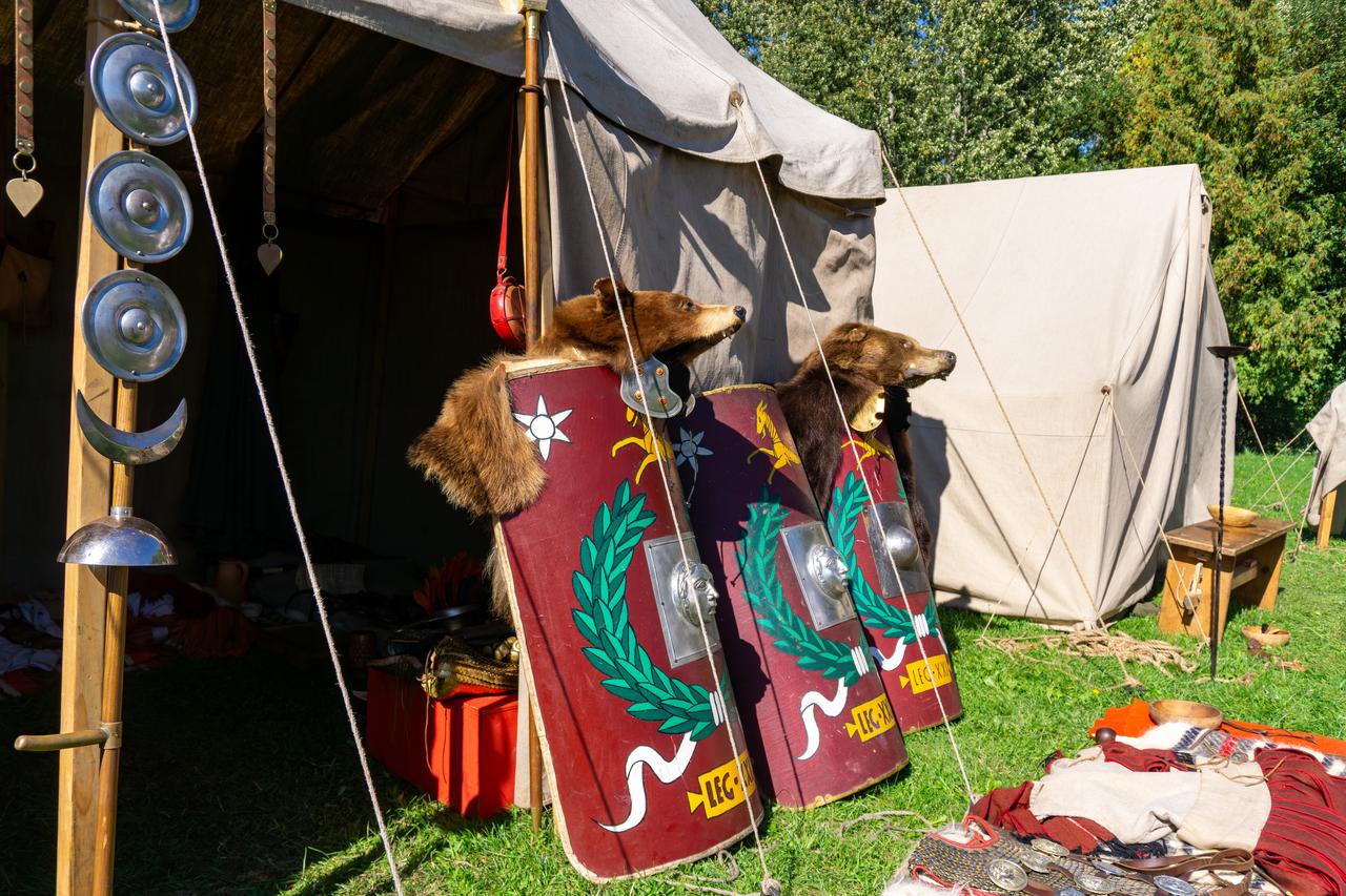 Replica shields and bear pelts representing Legio XXI. (Adobe Stock Photo)