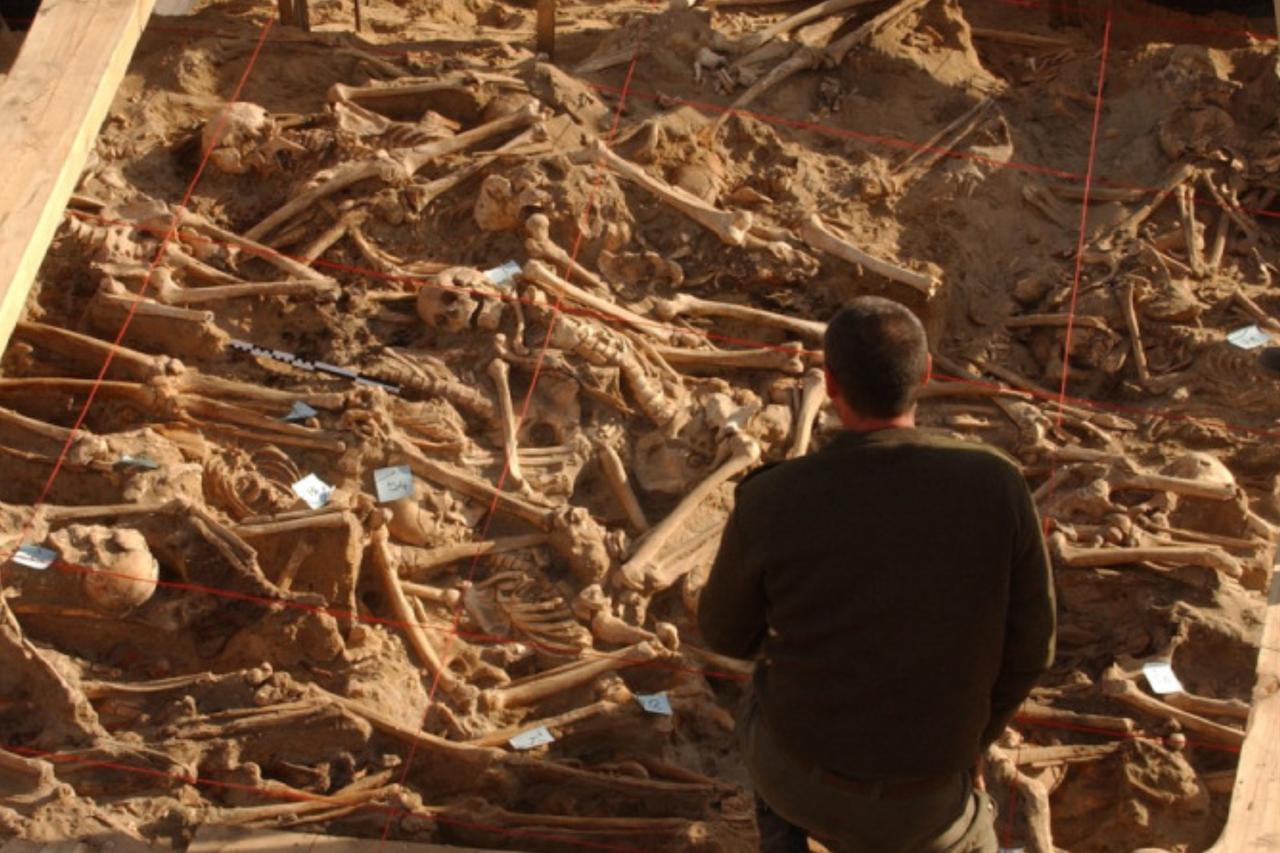 An archaeologist examines a mass grave containing the remains of Napoleonic soldiers unearthed in Vilnius, Lithuania. (Photo via Michel Signoli)