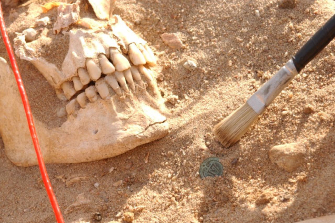 A skull and uniform button uncovered during the excavation of Napoleon’s soldiers in Vilnius, providing crucial samples for ancient DNA analysis. (Photo via Michel Signoli)