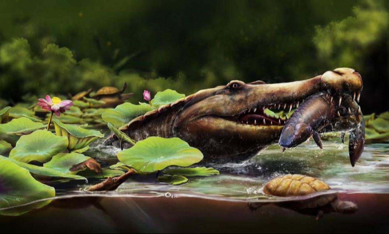 An illustrative image shared by Mansoura University shows a crocodile dating back to the age of dinosaurs in Egypt’s Western Desert, discovered by a team of scientists, October 27, 2025. (Photo via Mansoura University Vertebrate Paleontology Center)