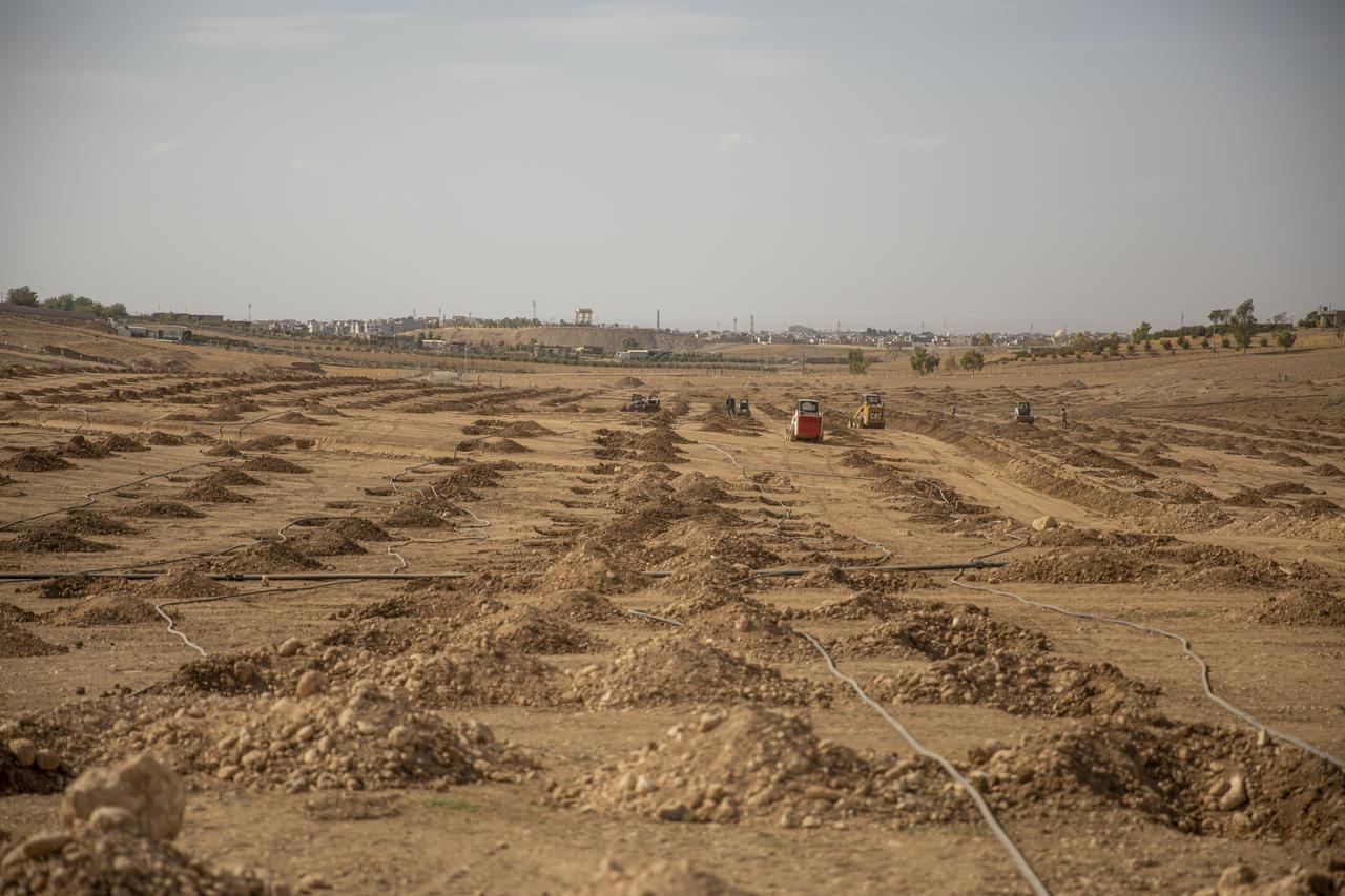 A general view of the 2-kilometer-wide and 92-kilometer-long area where saplings will be planted to clean the air and beautify the city as part of the "green belt" project while workers and officials continue their work in Erbil, Iraq, Oct. 22, 2025. (AA Photo)