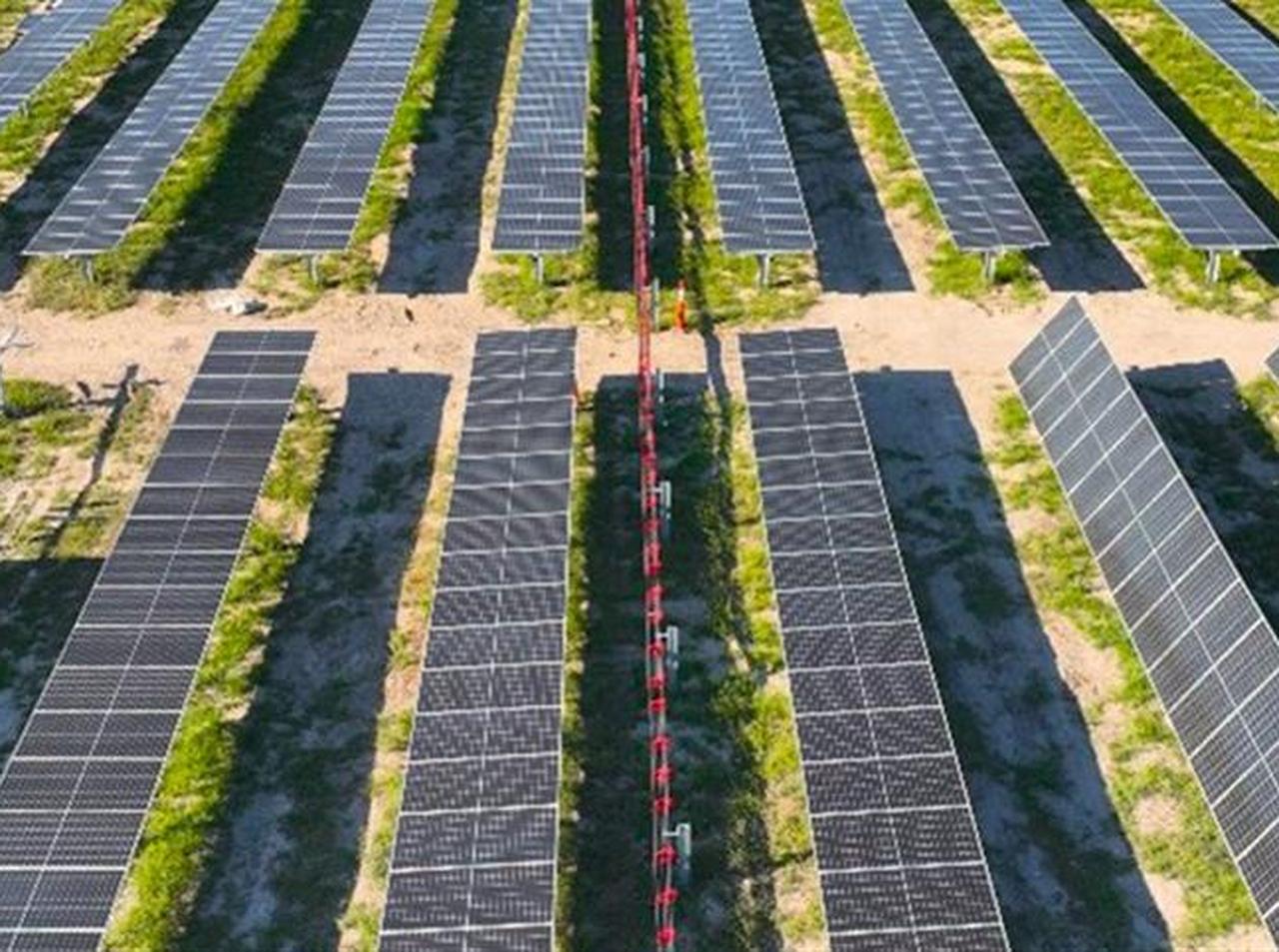 Rows of solar panels at the newly launched Oriana Solar Power Plant in Texas, operated by Sabanci Renewables Inc., the U.S. subsidiary of Türkiye’s Sabanci Holding. (Photo via sabanciclimatetech.com)