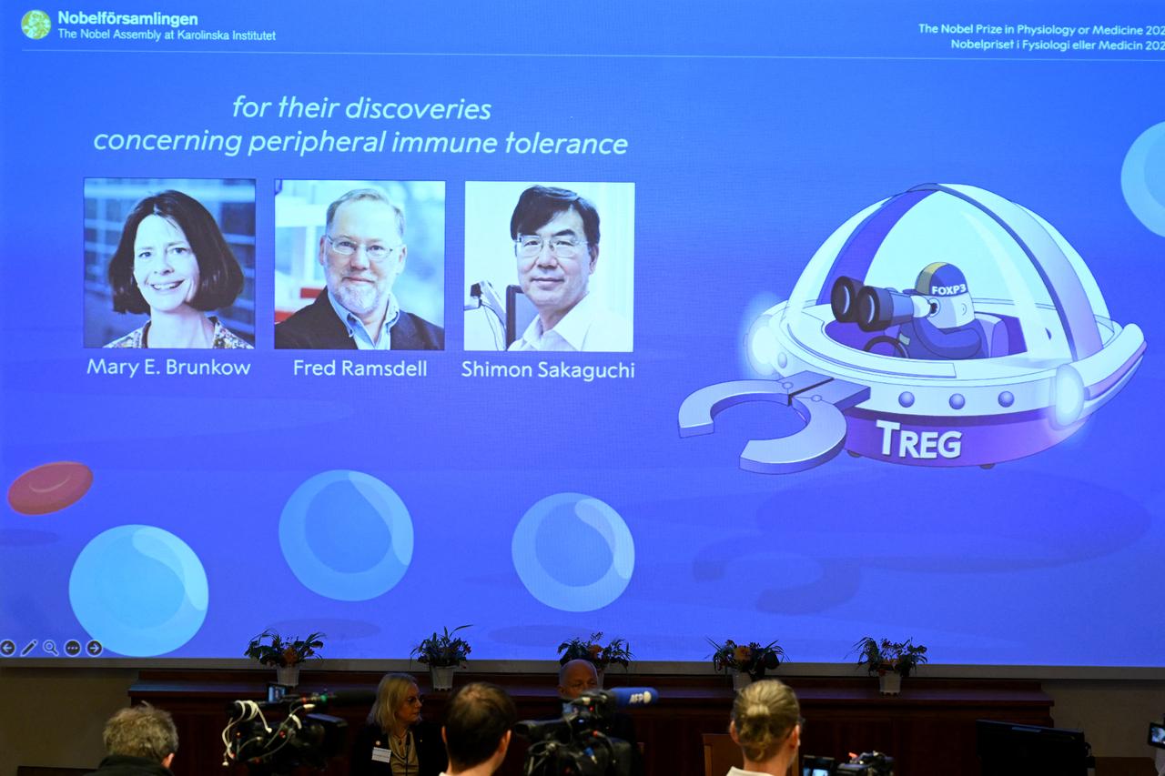 The portraits of (L-R) Mary E Brunkow, Fred Ramsdell and Shimon Sakaguchi are displayed on a screen during a press conference where the winners of the 2025 Nobel Prize in Physiology or Medicine are being announced at the Karolinska Institute in Stockholm, Sweden, on Oct. 6, 2025. (AFP Photo)