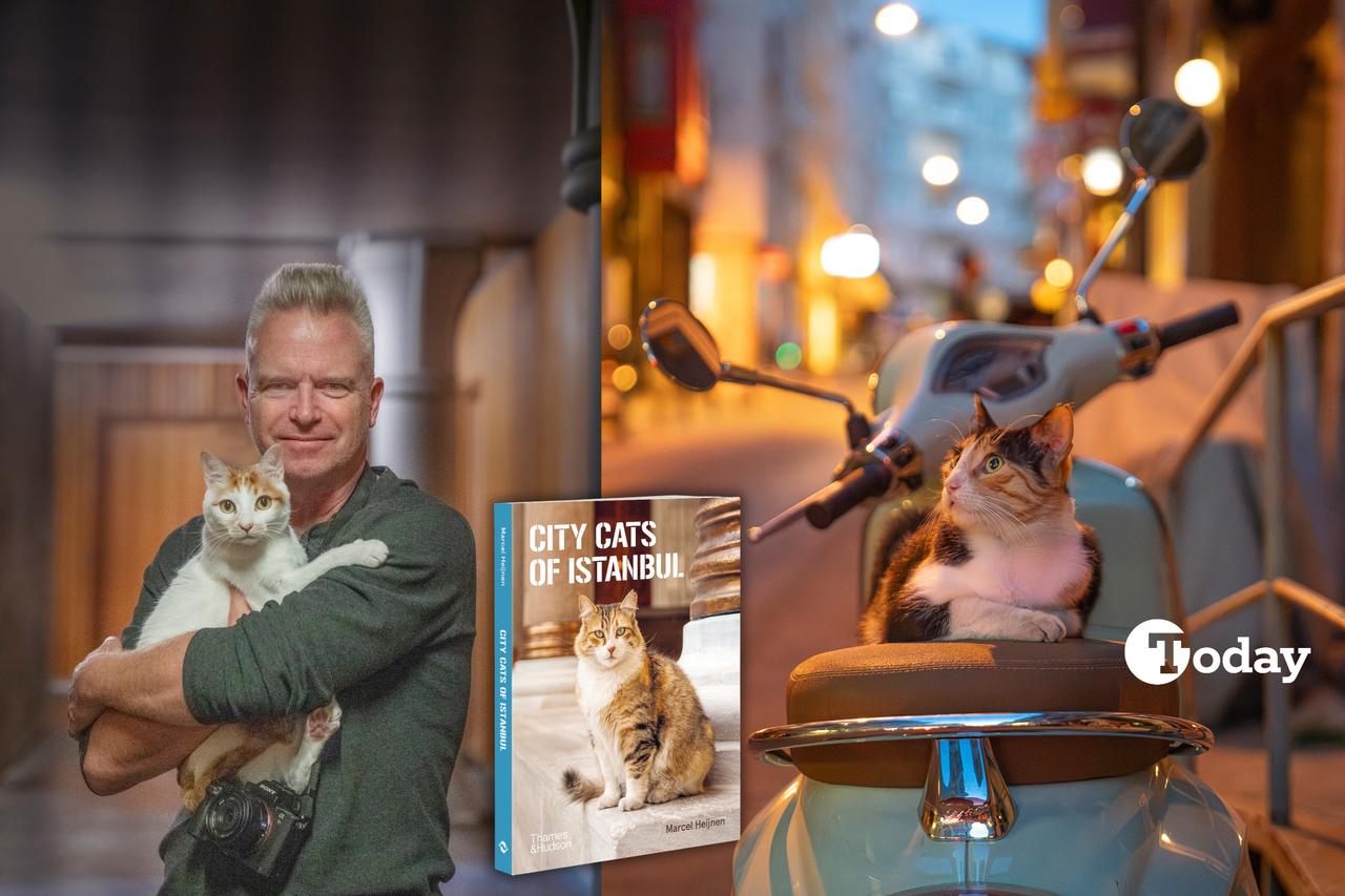 Dutch photographer Marcel Heijnen, known for his feline portraits, poses with one of his muses beside the cover of his new book City Cats of Istanbul. The collage also features one of his photographs taken in the city. (Photo collage by Türkiye Today team)