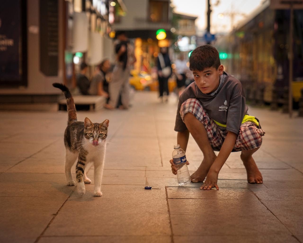 A boy and a cat share a quiet evening moment on a tramway street in Istanbul, Türkiye. (Photo via Marcel Heijnen)