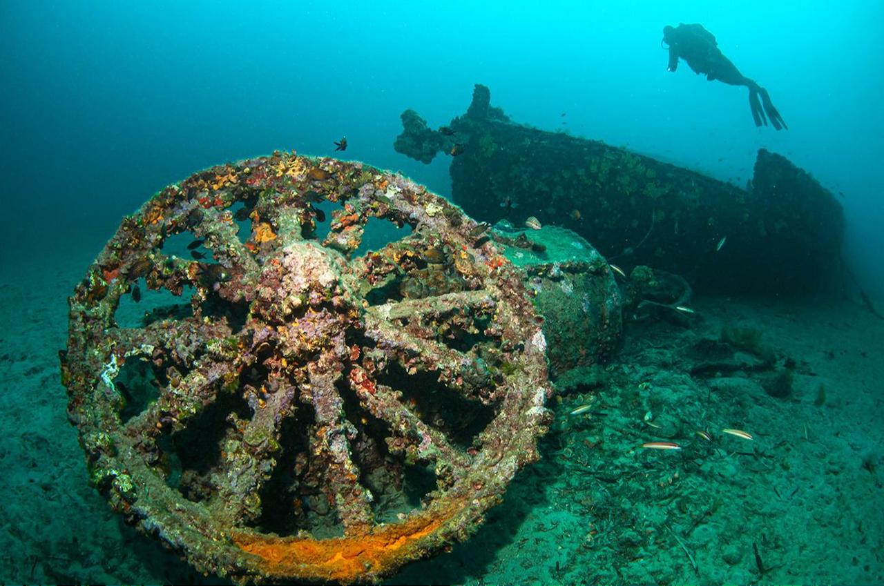 A diver explores the remains of a World War I shipwreck covered in coral at the Gallipoli Historical Underwater Park in Canakkale, Türkiye, Oct. 5, 2025. (Photo via Ministry of Culture and Tourism)