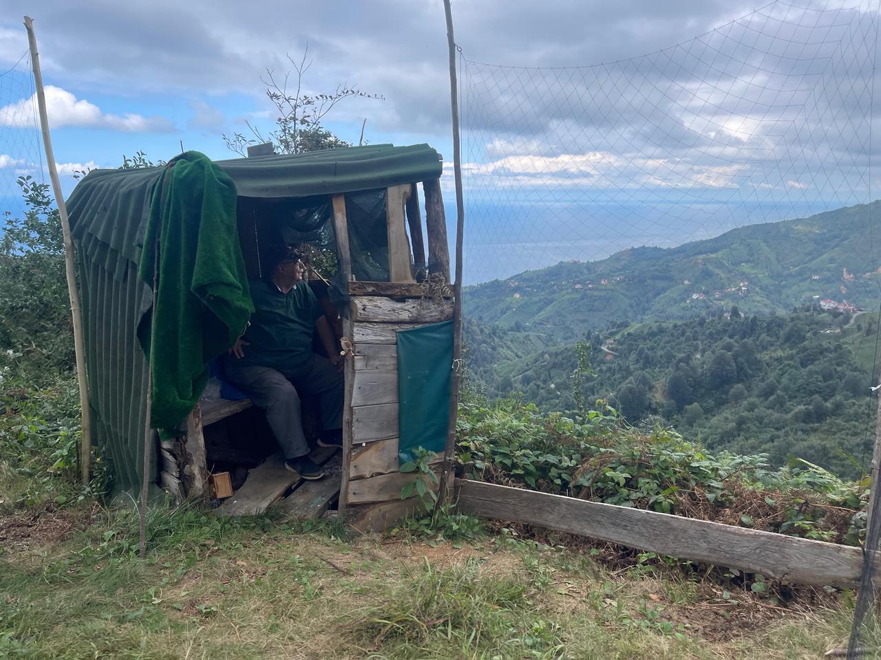 A falconer waits inside his wooden hide, or gume, overlooking the Black Sea migration route where sparrowhawks are traditionally caught and trained, Rize, Türkiye, Oct. 2, 2024. (IHA Photo)