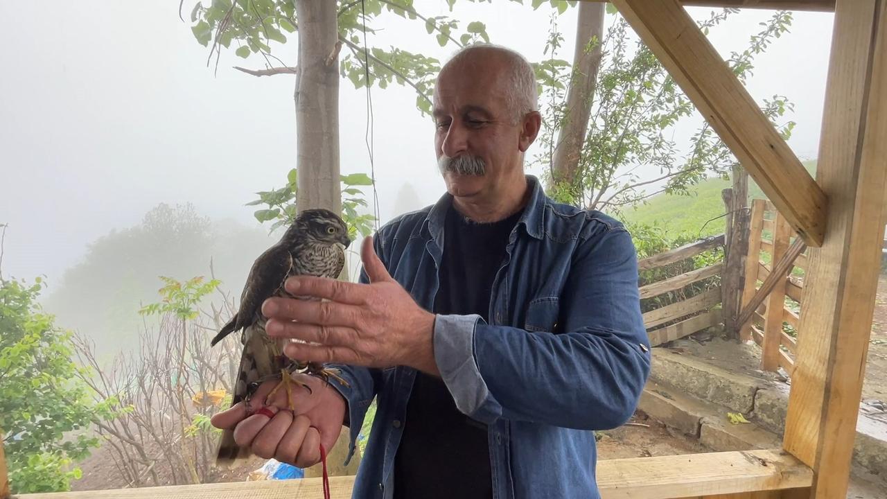 A Rize falconer holds a sparrowhawk he has trained for the season before releasing it back to the wild, reflecting the deep-rooted sparrowhawk falconry culture, Türkiye, Oct. 2, 2024. (IHA Photo)