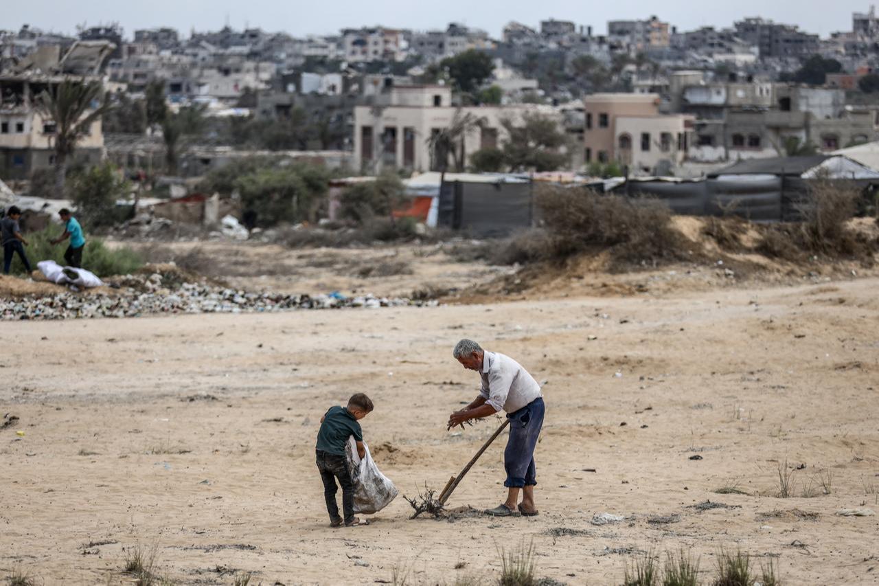 A man and a child are collecting plant roots as many Palestinians, who were forced to flee due to the Israeli armys intense attacks on Gaza city, continue to live in makeshift tents on An-Nuvari Hill, west of the Nuseirat refugee camp, despite harsh conditions in Deir al-Balah, Gaza on Oct. 06, 2025. (AA Photo)