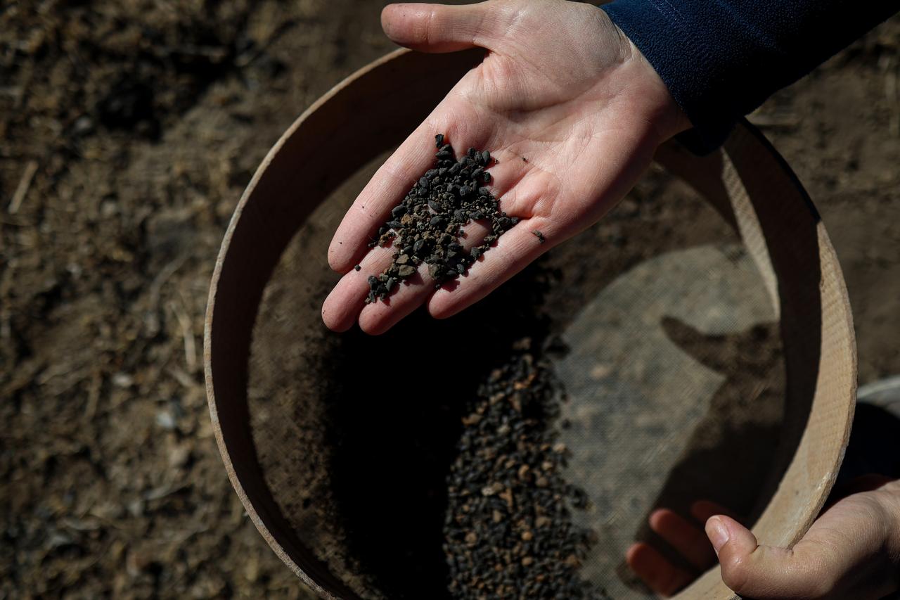 5,000-year-old carbonized barley unearthed in Van reveals early agriculture in eastern Anatolia