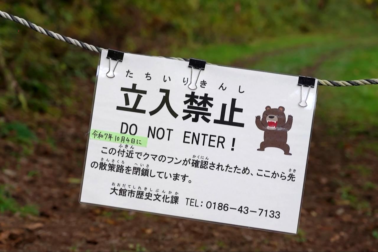 Japan battles dual threat of wild bear attacks and viral AI fabrications
