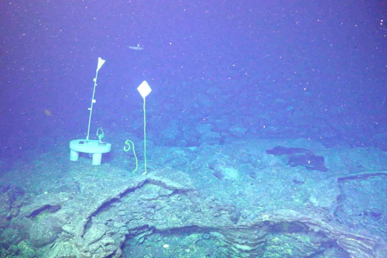 Oregon underwater volcano shows new activity as it nears 2026 eruption