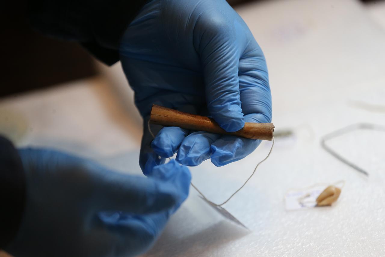 A bone tool from the Troy excavations undergoing detailed inspection at the Troy Museum, Canakkale, Türkiye, Nov. 17, 2025. (AA Photo)