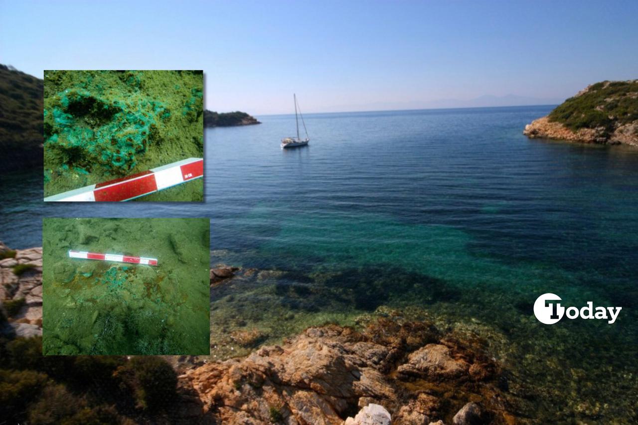 Could Aristotle’s ‘diver’s copper’ have come from Istanbul’s waters? New evidence points to yes