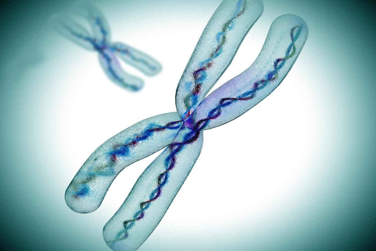 European scientists develop DNA tool that predicts age within three years