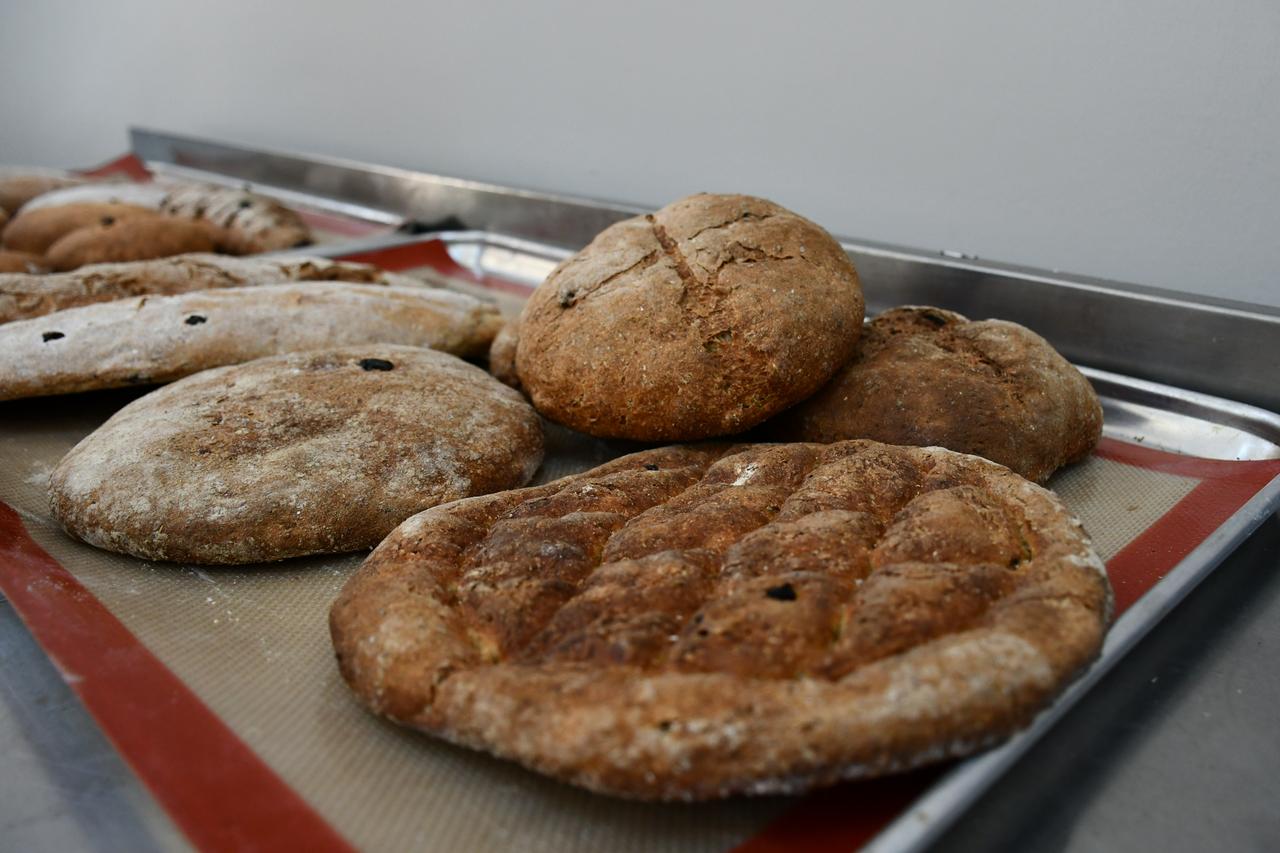 Ancient honey-barley bread revived in Türkiye as scholars recreate 3,000-year-old recipe