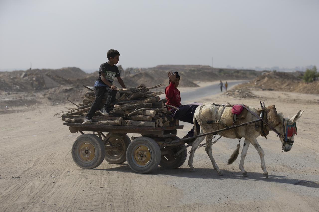 Palestinians gradually resume parts of their daily lives with the ceasefire in place and the partial withdrawal of Israeli forces from some areas of the Gaza Strip, November 2, 2025. (AA Photo)