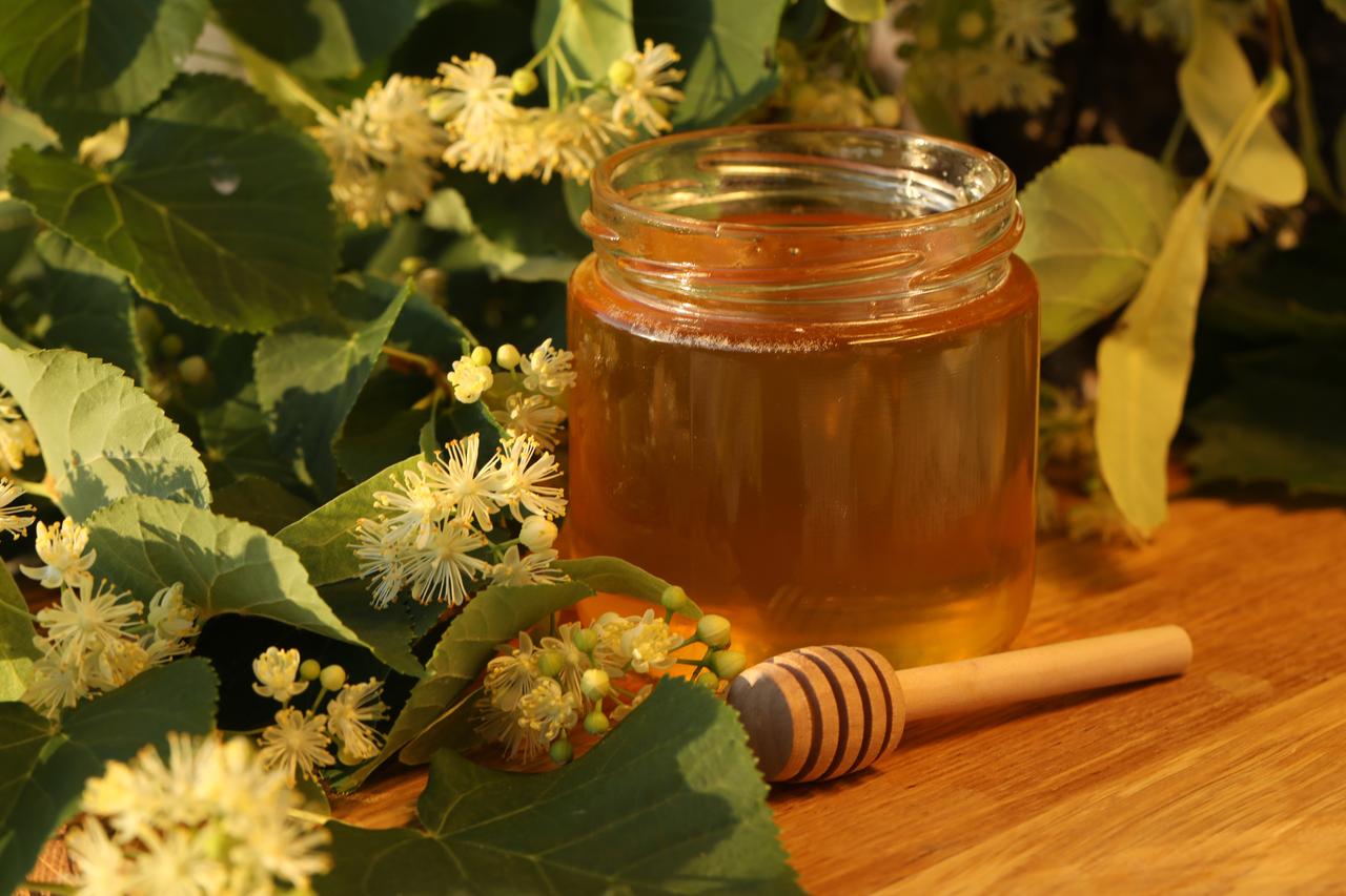 Karabuk’s linden honey joins EU Geographical Indication-registered Turkish products
